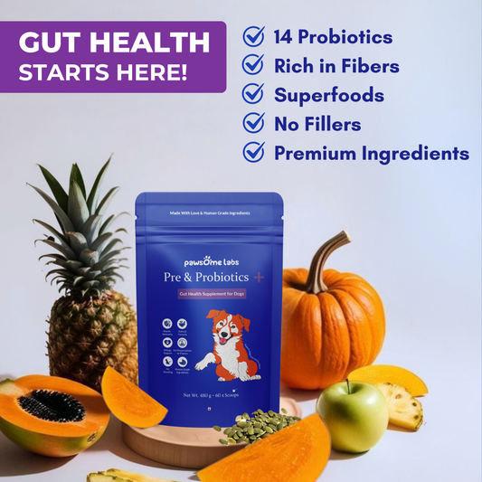 PRE & PROBIOTICS+