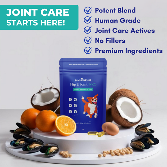 HIP & JOINT PRO
