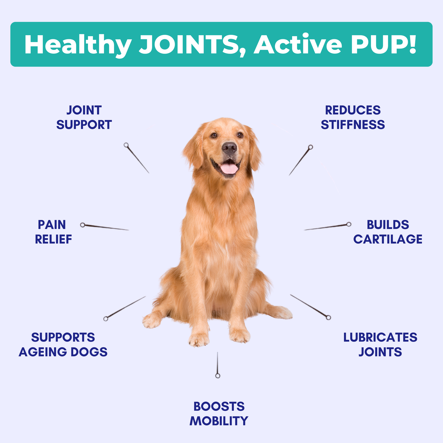 HIP & JOINT PRO