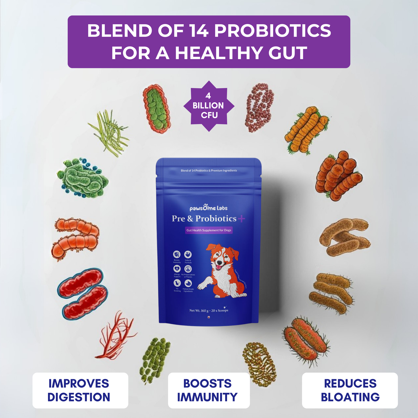 PRE & PROBIOTICS+